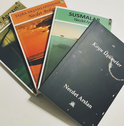 ÖYKÜ | Necdet Arslan