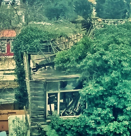 YAŞLI EVİN ÖLÜMÜ | Öznur Eren Kanarya