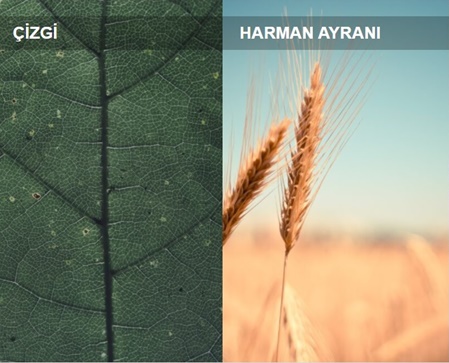 Öykü Dergisi Hişt! Hişt! 7. Sayısını Yayımladı