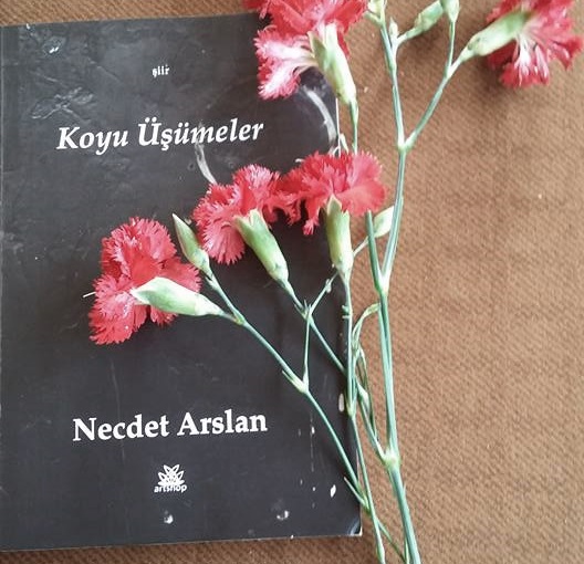 Pıtrak | Necdet Arslan