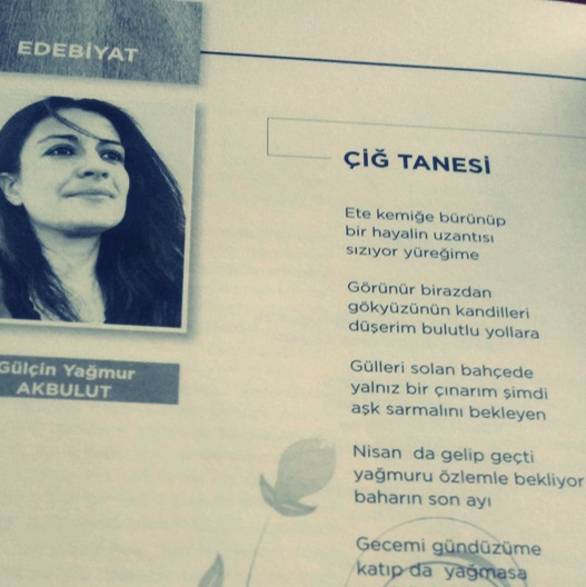 Açılmayan Kapı | Gülçin Yağmur Akbulut